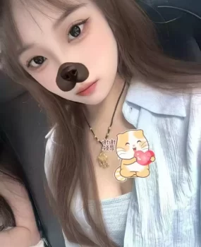 这个价位服务的天花板